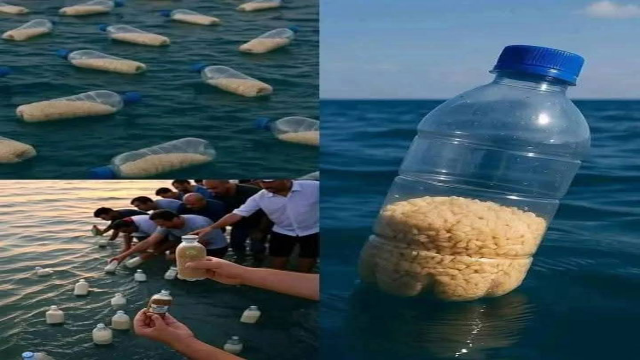 গাজার দিকে ছুটে যাচ্ছে মানবতার বোতল