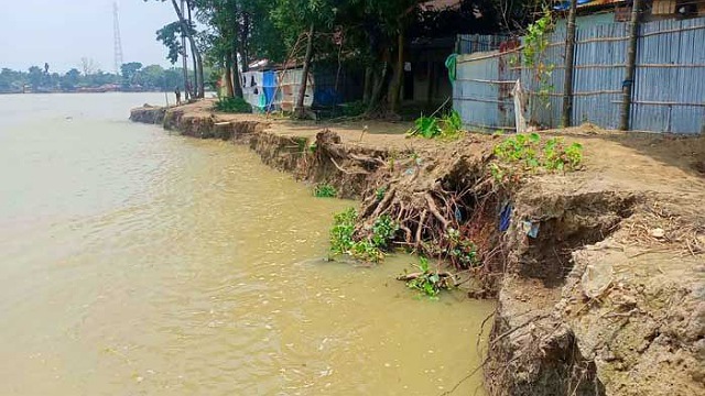নদী ভাঙনে দিশাহারা চাঁপাইনবাবগঞ্জে পদ্মা পাড়ের বাসিন্দারা।